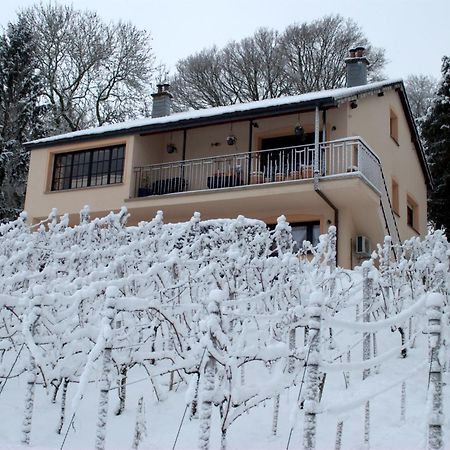 Casavitis Erholung Am Weinberg Apartment Lontzen ภายนอก รูปภาพ